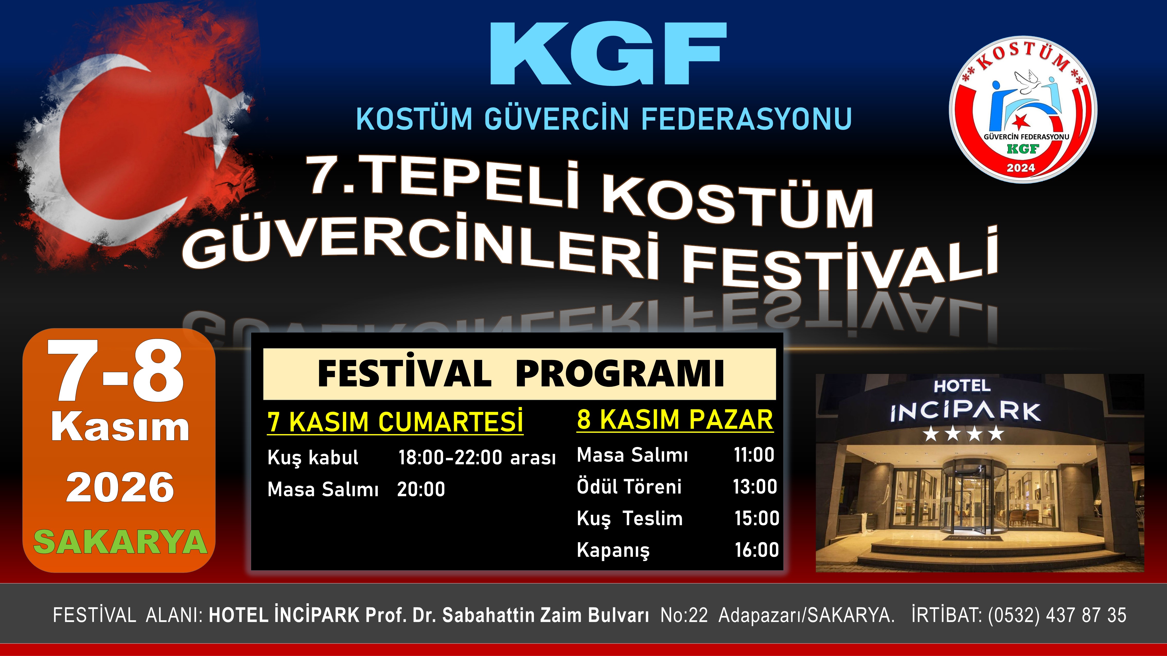 festival afiş